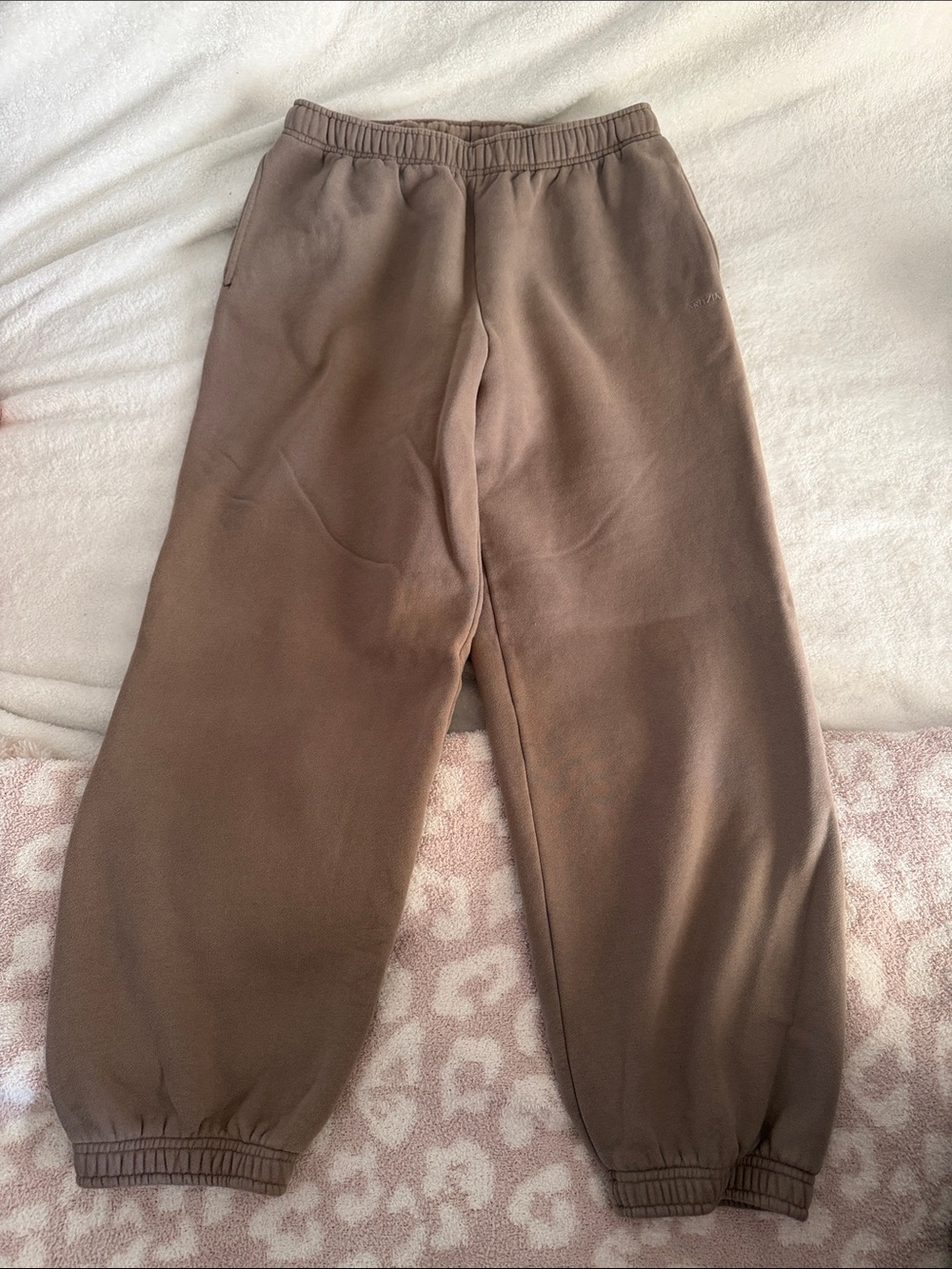 Aritzia Mega Jogger